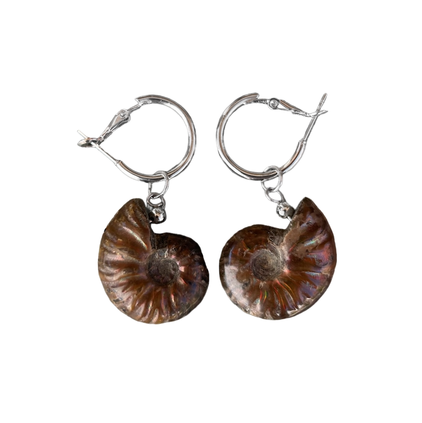 xʷ. Fossilized Ammonite Earrings